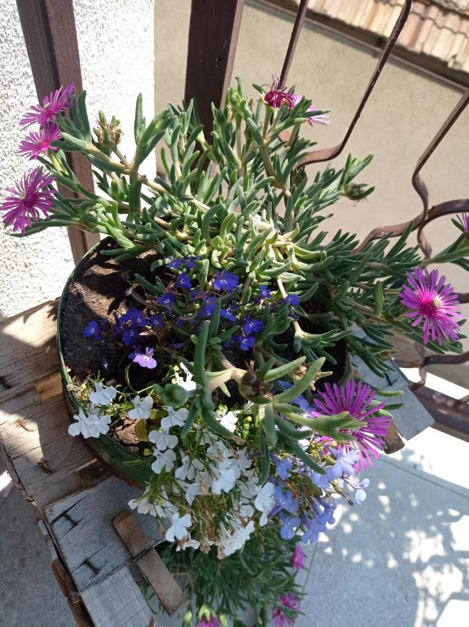 Romantic Σαράγεβο Εξωτερικό φωτογραφία